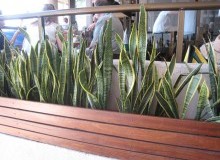 Kwikfynd Indoor Planting
karabeal