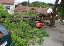 Kwikfynd Tree Cutting Services
karabeal