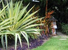 Kwikfynd Tropical Landscaping
karabeal